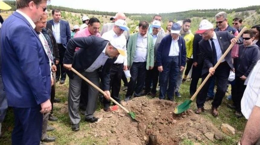 Ş&uuml;kr&uuml; Nazlı: Orman Ve Su İşleri Bakanlığı K&uuml;tahya&rsquo;da 94 Milyon Fidanı Toprakla Buluşturdu