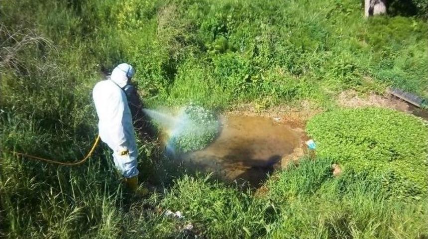 Tekirdağ&rsquo;da Sivrisinekle M&uuml;cadele &Ccedil;alışmaları