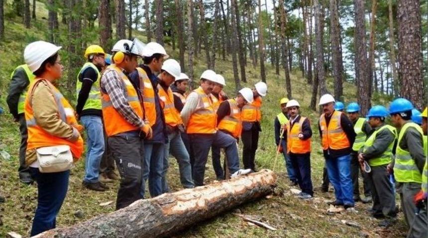 Akdağmadeni Orman İşletme M&uuml;d&uuml;rl&uuml;ğ&uuml;&rsquo;nde Standardizasyon Eğitimi