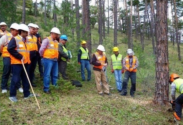 Akdağmadeni Orman İşletme Müdürlüğü’nde Standardizasyon Eğitimi