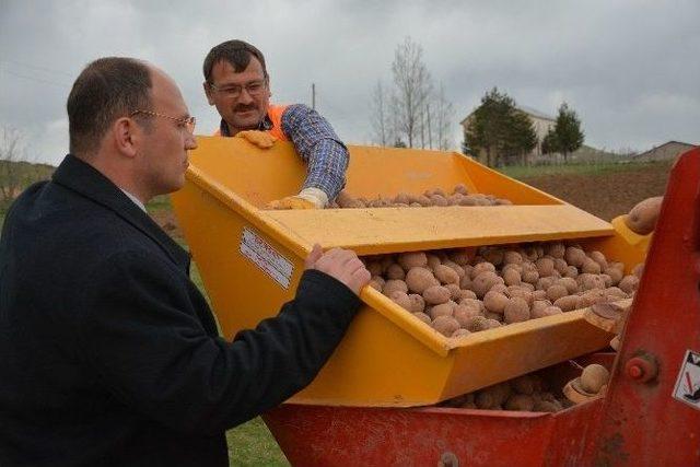 Patates Üretimini Artırmak İçin Belediye Tarla Kurdu