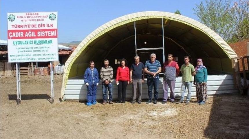 (&ouml;zel Haber) Bu Ağıl Her Yere Taşınıyor