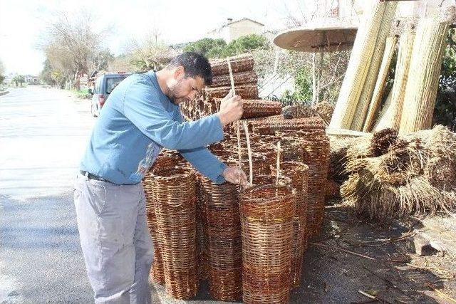 Çin Mallarına Yenik Düşen Romanlar Arıcılık Sektörüne Yöneldi