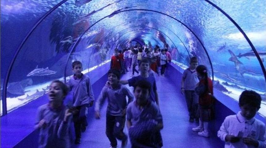 &Ouml;ğrenciler Akvaryum Gezisi İle &Ouml;d&uuml;llendirildi