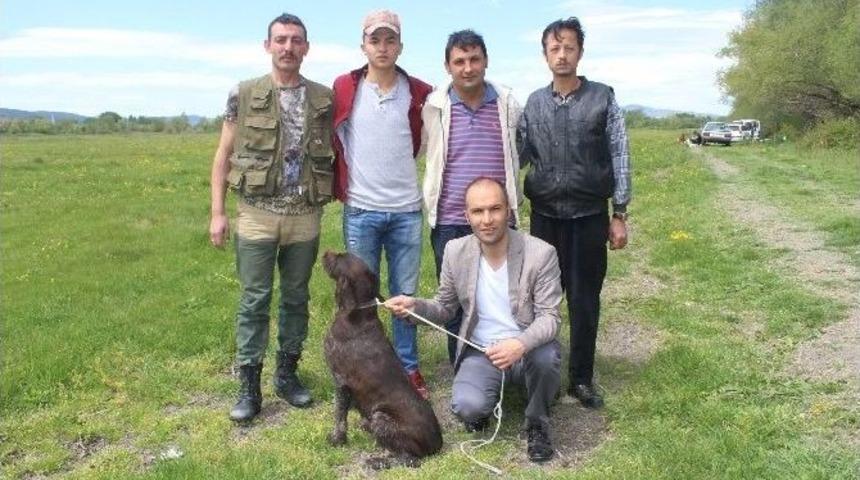 Av K&ouml;pekleri Yarıştı