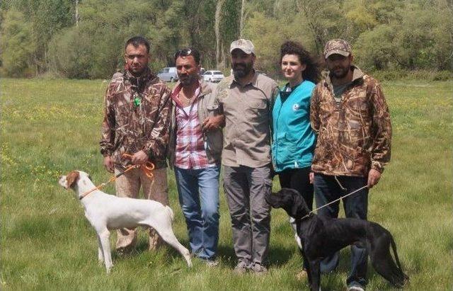 Av Köpekleri Yarıştı