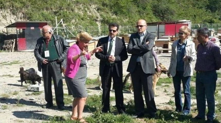 Hayvanseverler Trabzon B&uuml;y&uuml;kşehir&rsquo;e Minnettar