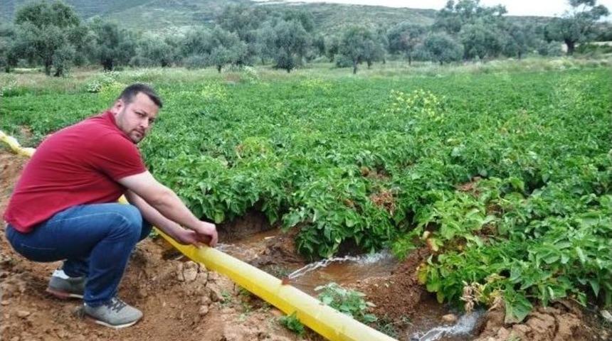 &Uuml;reticiler S&uuml;te Yapılan M&uuml;dahaleyi Patatese De İstiyor