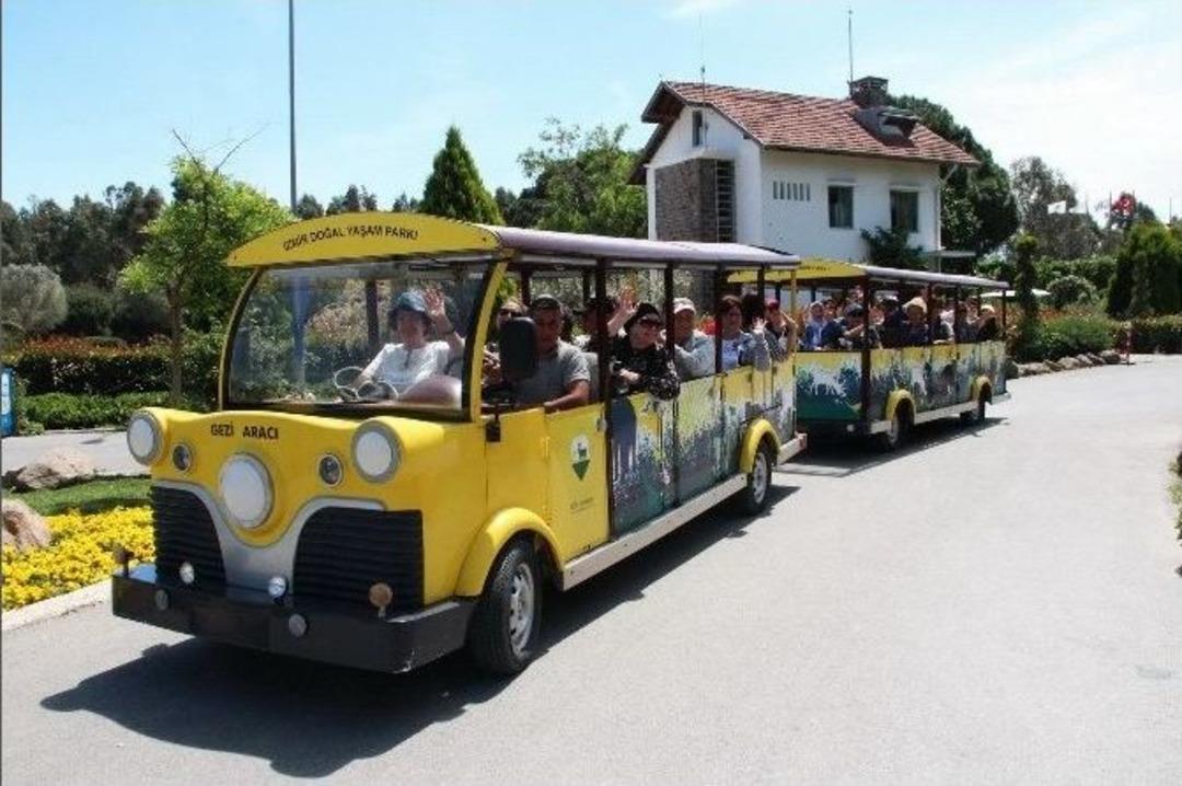 &Ccedil;ocukluklarına Geri D&ouml;nd&uuml;ler