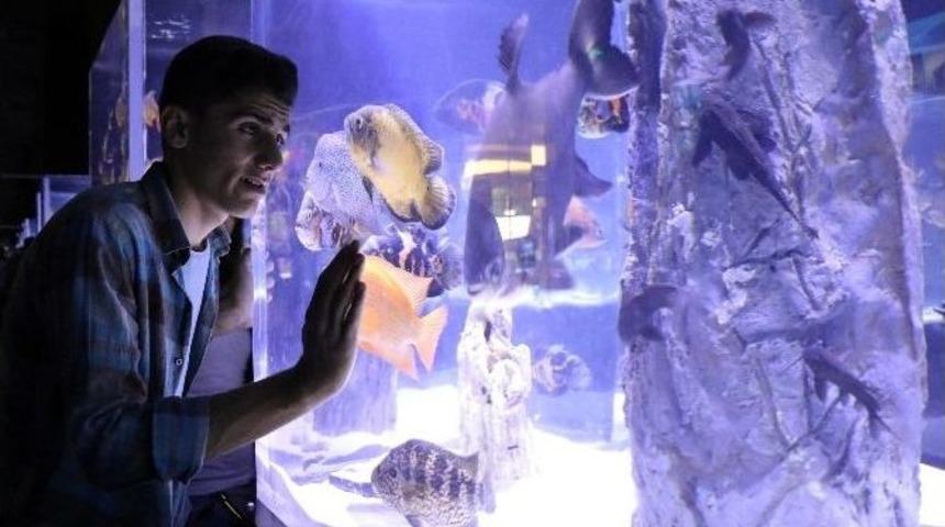 Ygs&rsquo;de Başarılı Olan Şırnaklı &Ouml;ğrencilere Antalya&rsquo;da 5 Yıldızlı Tatil