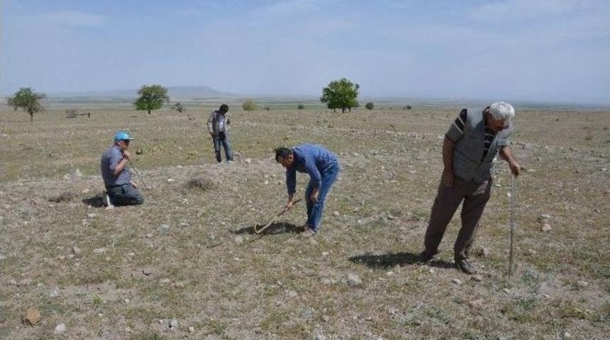 Dolaman Mantarının Fiyatı Eti Ge&ccedil;ti