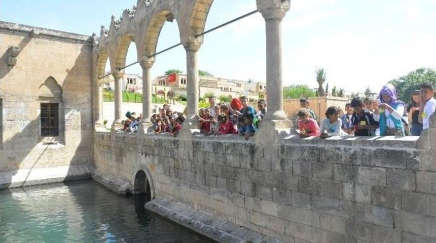 İzmir Trabzonlular Derneği Ceylanpınarlı Minikleri Sevindirdi