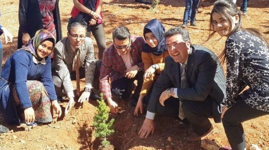 Sosyal Bilimler Myo &Ouml;ğrencilerinden Ağa&ccedil; Dikimi Etkinliği