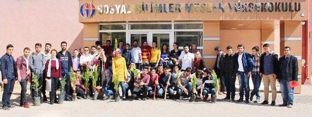 Sosyal Bilimler Myo Öğrencilerinden Ağaç Dikimi Etkinliği