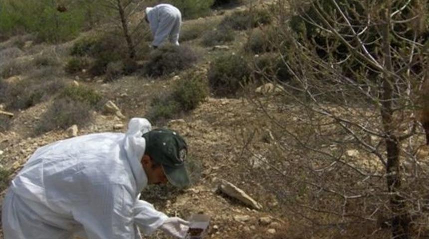 Orman Zararlılarıyla Biyolojik M&uuml;cadele