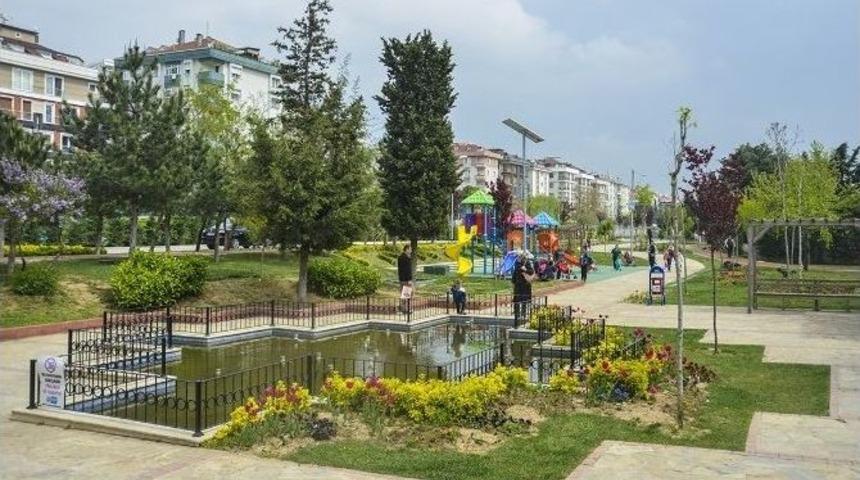Maltepe Yeşille Buluşuyor