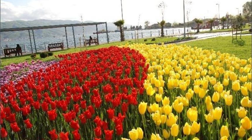 K&ouml;rfez&rsquo;de 200 Bin &Ccedil;i&ccedil;ek Toprakla Buluştu