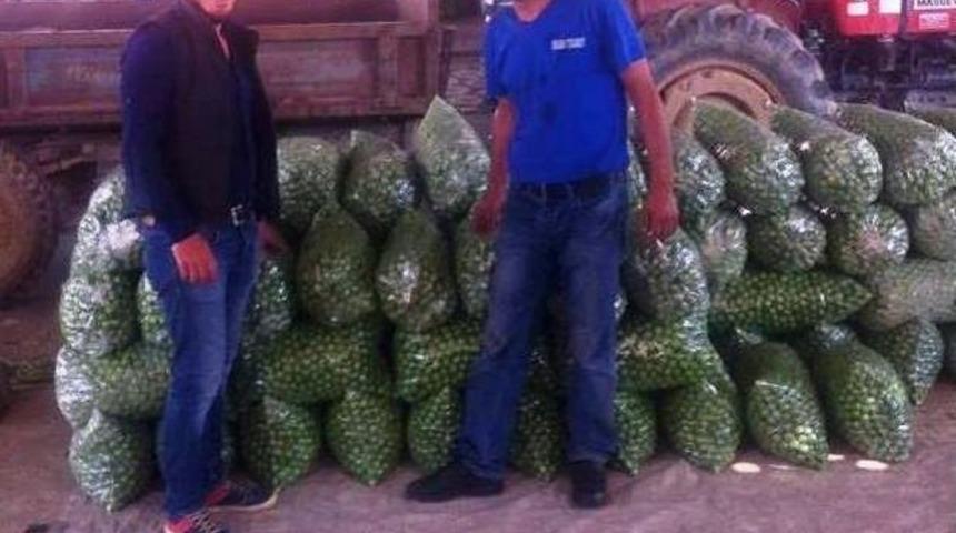 Erikte &Uuml;retim D&uuml;ş&uuml;k, Fiyatlar Y&uuml;ksek