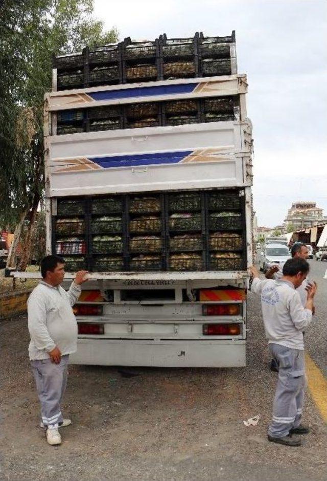 Polis Ve Askerlere Antalya’dan Meyve Takviyesi