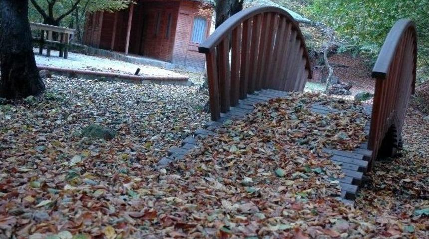 Delmece Tabiat Parkı Projesi Hayata Ge&ccedil;irilemedi