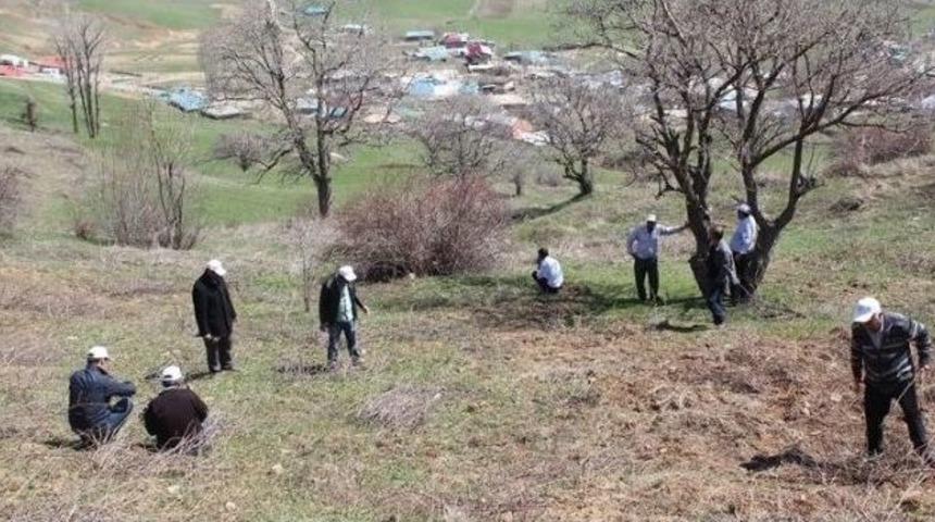 Muş &Uuml;z&uuml;m&uuml;n&uuml; Geliştirme Projesi Devam Ediyor