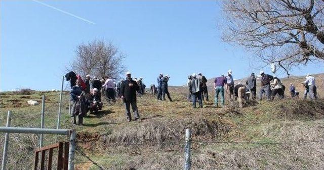 Muş Üzümünü Geliştirme Projesi Devam Ediyor