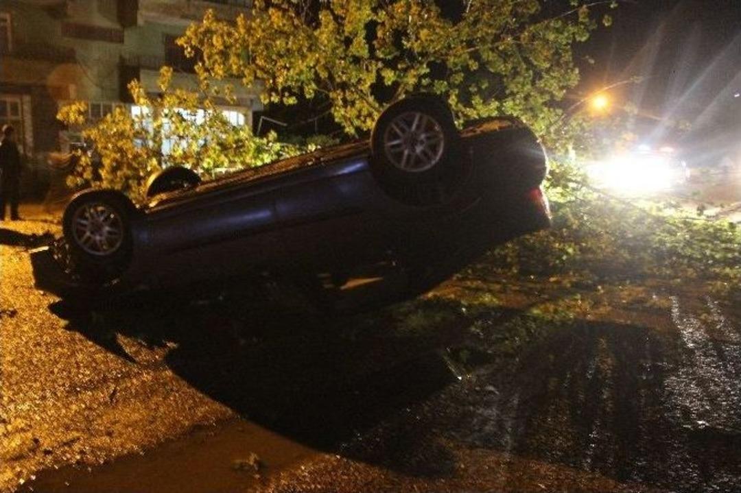 Yola Devrilen Ağa&ccedil; Kazaya Neden Oldu: 3 Yaralı