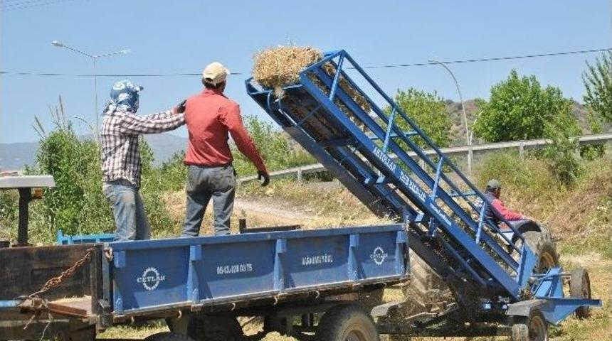 Yonca &Uuml;retimi &Ccedil;ift&ccedil;iyi Memnun Ediyor