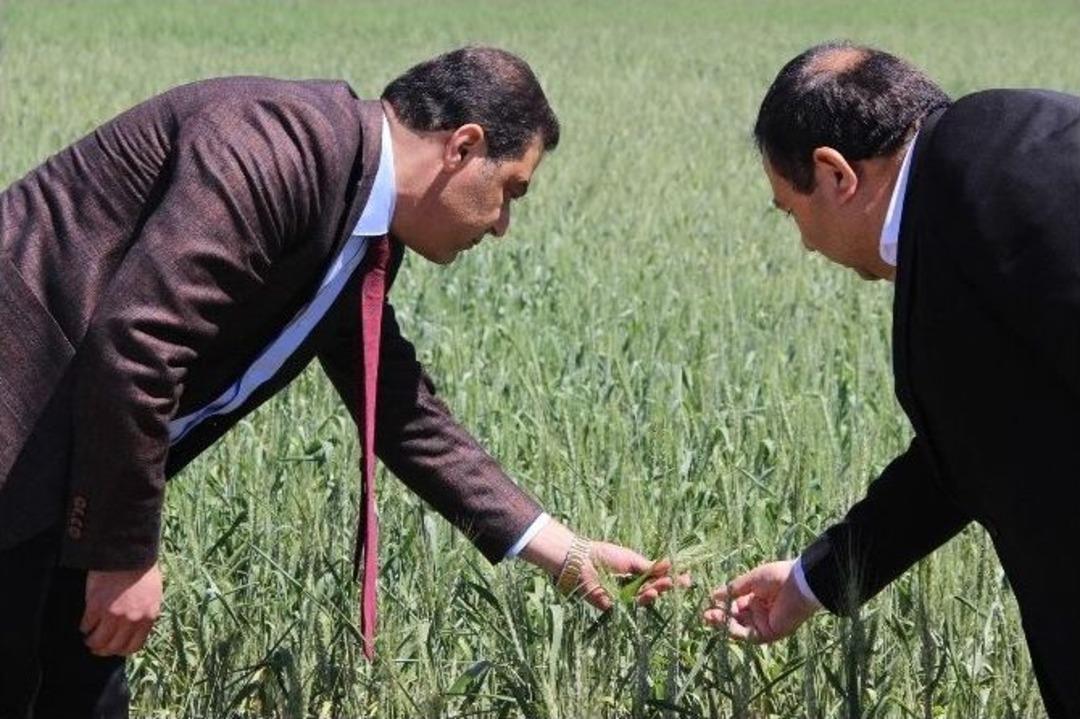 30 Bin Tl Hibe, 100 Bin Tl Kredi Projesi &Ccedil;ift&ccedil;inin Y&uuml;z&uuml;n&uuml; G&uuml;ld&uuml;rd&uuml;