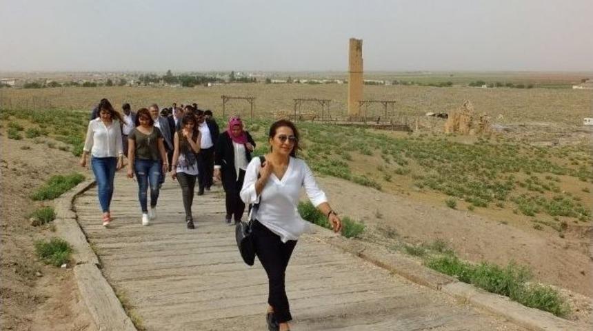 T&uuml;rk Asıllı Avrupa Milletvekilleri Harran&rsquo;da