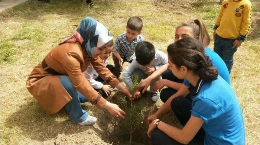 Minik &Ouml;ğrenciler Fidan Dikti