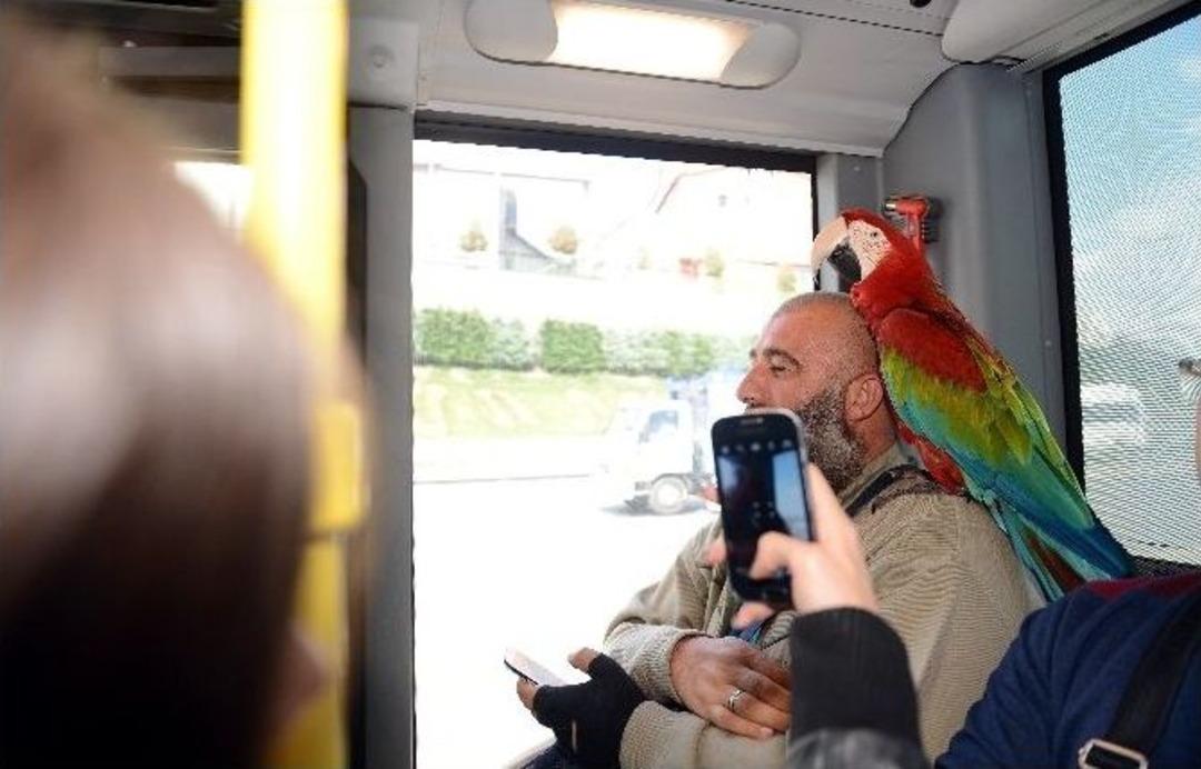 "allah" Diyen Papağan Metrob&uuml;s Yolcularını Hayrete D&uuml;ş&uuml;rd&uuml;