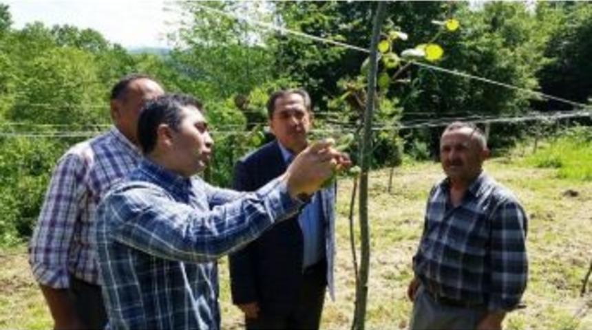 Bayram, Organik Bah&ccedil;eleri Gezdi