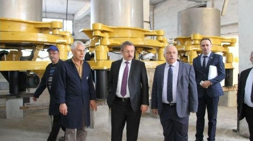 &Ccedil;aykur Yaş &Ccedil;ay Alımına Hazır