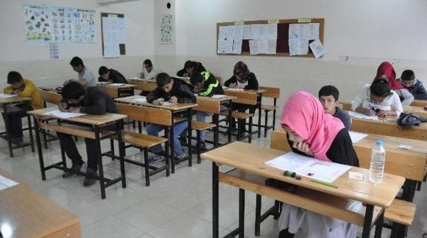 Muş&rsquo;ta Teog Heyecanı