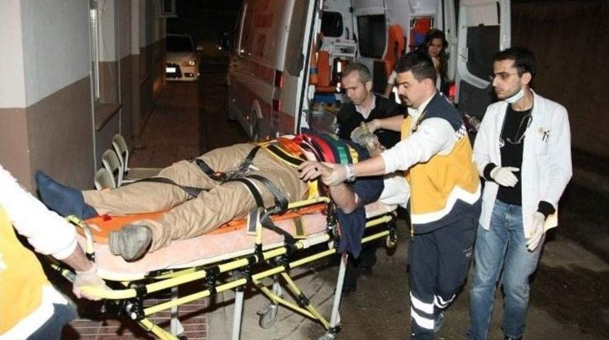 Zeytin Ağacına &Ccedil;arpan Otomobilin S&uuml;r&uuml;c&uuml;s&uuml; &Ouml;ld&uuml;