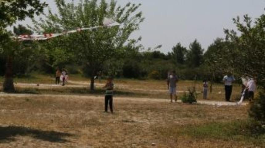 Kaş&rsquo;ta 600 U&ccedil;urtma U&ccedil;tu