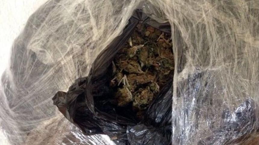 B&ouml;ylesi Tekirdağ&rsquo;da İlk Kez Ele Ge&ccedil;irildi