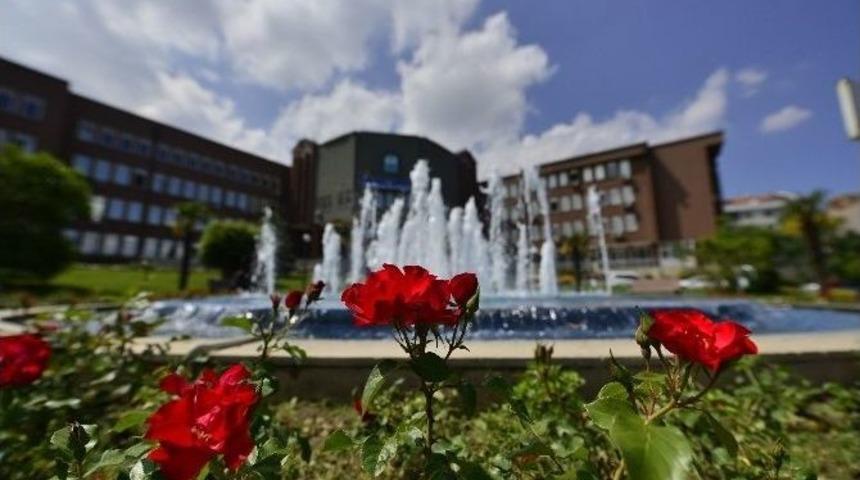 Yıldırım &Ccedil;i&ccedil;ek A&ccedil;tı