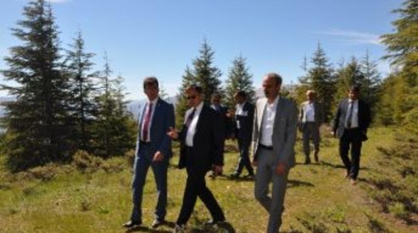 Sincik İl&ccedil;esine Mesire Alanı Yapılıyor