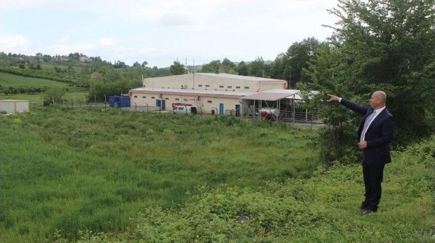 Tekkek&ouml;y Hayvan Pazarı İl&ccedil;e Merkezinden &Ccedil;ıkartılıyor