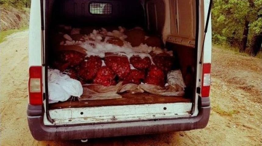 Edirne&rsquo;de 1 Ton 825 Kilogram Canlı Midye Ele Ge&ccedil;irildi