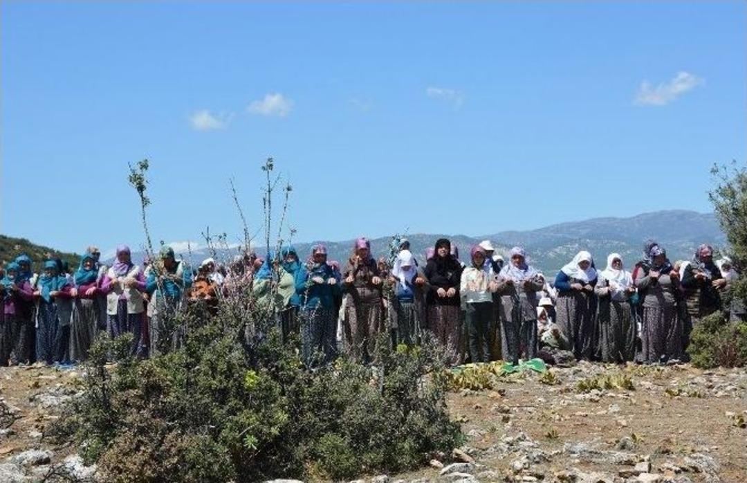 &Ccedil;ift&ccedil;iler Yağmur Duasında