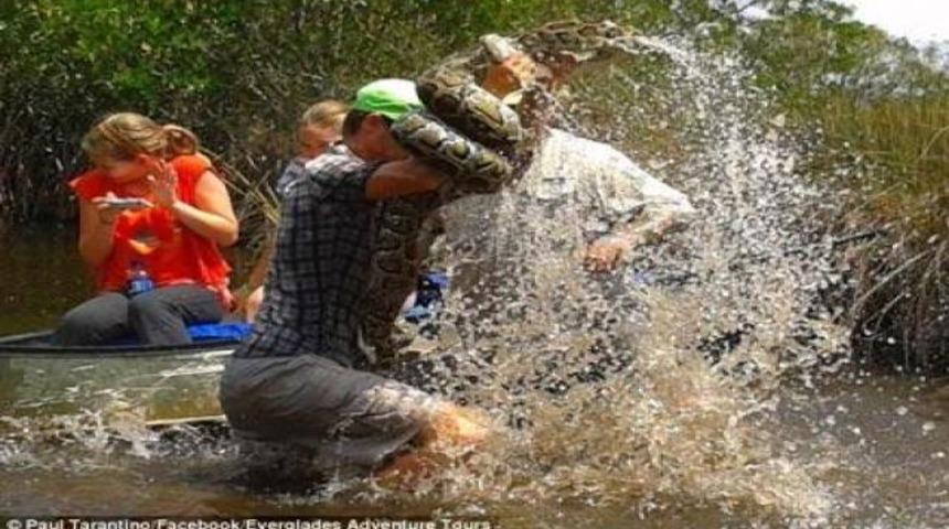 Pitonlarla m&uuml;cadele kamerada...