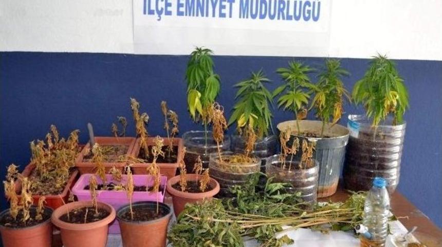 Muğla, Marmaris Ve Dat&ccedil;a Polisinden Ortak Uyuşturucu Operasyonu