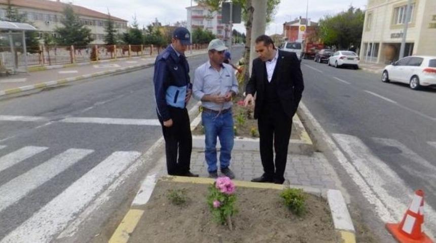 Kaymaklı Kasabası Çiçeklerle Donatıldı