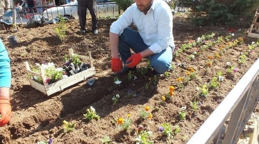 Malazgirt’te Yeşillendirme Çalışmaları