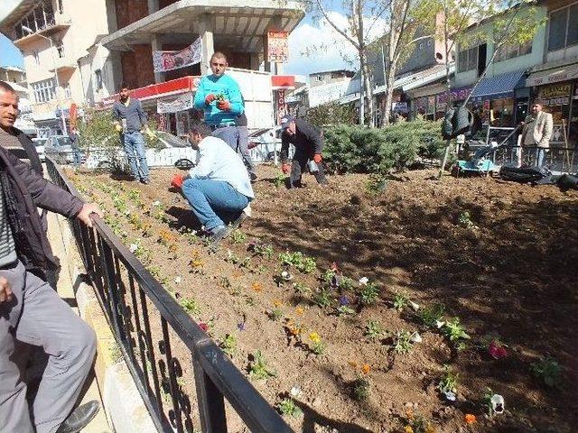 Malazgirt’te Yeşillendirme Çalışmaları