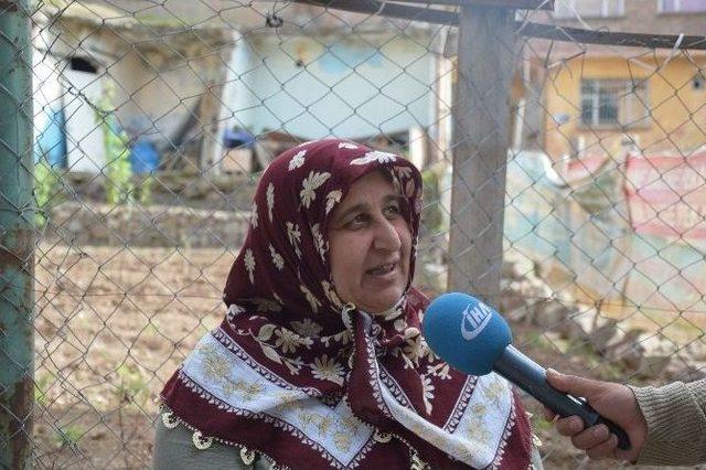 Sur’da Terörden Sonra Hastalık Ve Yılan Korkusu Baş Gösterdi