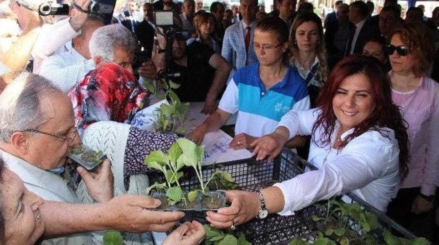 Aydın B&uuml;y&uuml;kşehir Efeler&rsquo;de 70 Bin Sebze Fidesi Dağıttı